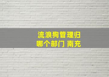 流浪狗管理归哪个部门 南充